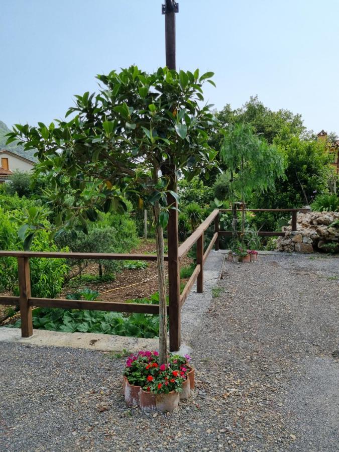 Il Ruscello Bed and Breakfast Maratea Eksteriør billede