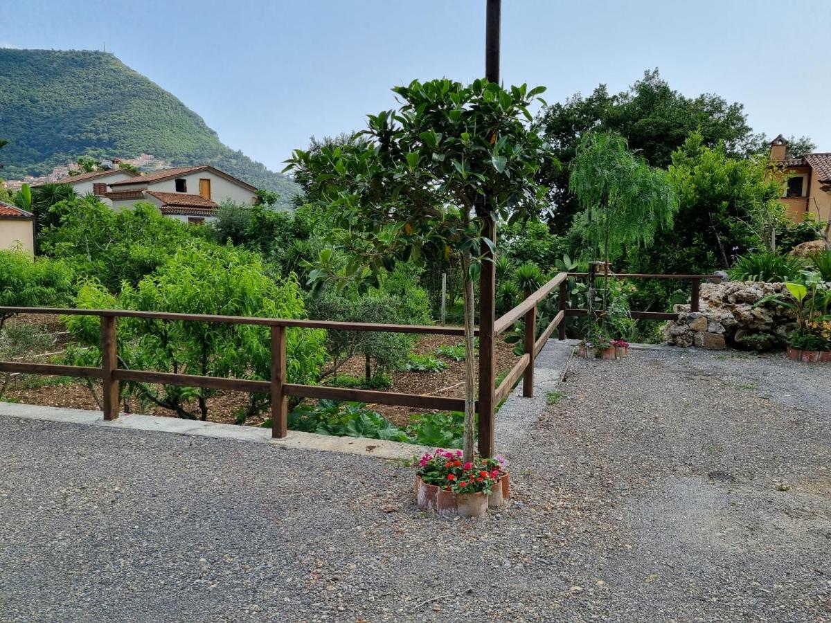 Il Ruscello Bed and Breakfast Maratea Eksteriør billede