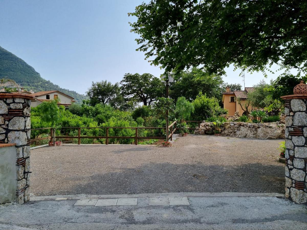 Il Ruscello Bed and Breakfast Maratea Eksteriør billede