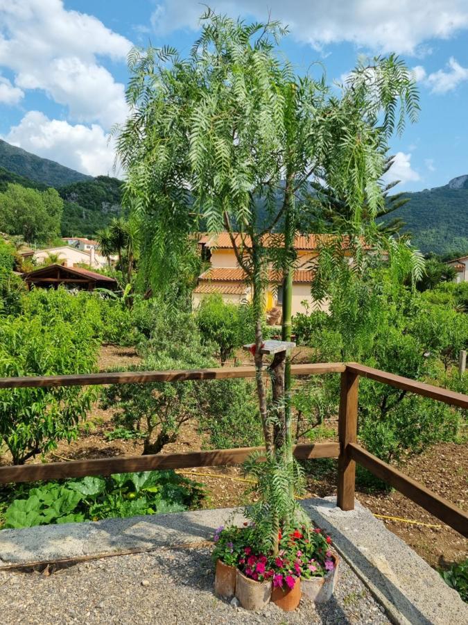 Il Ruscello Bed and Breakfast Maratea Eksteriør billede